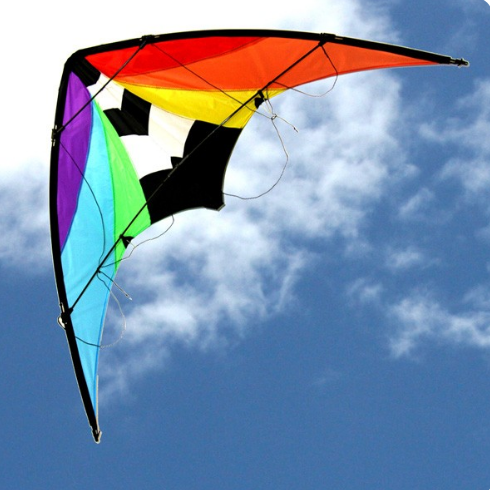 WINDSPEED Stuntmaster Sports Kite - WS893