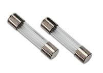 TRAXXAS 5A Glass Fuses 2pcs - 2978