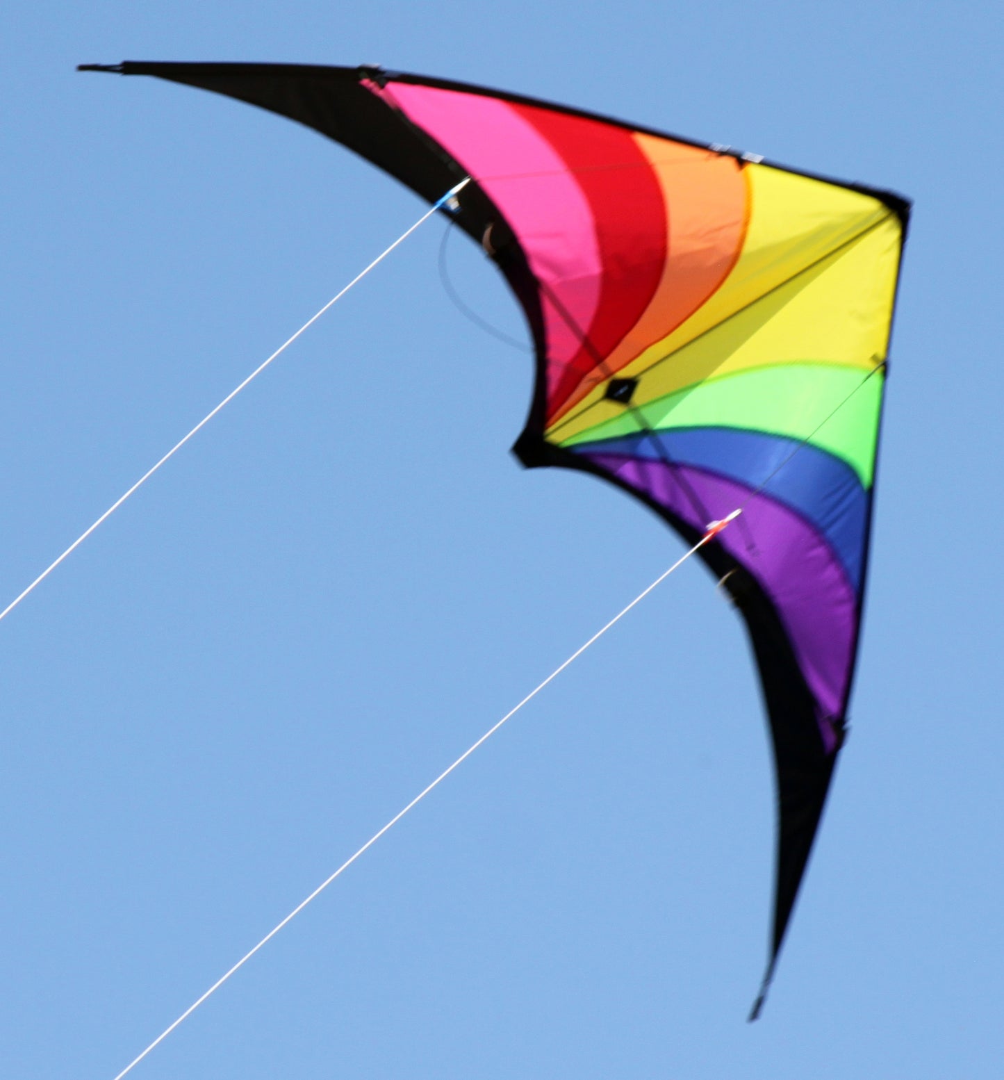 WINDSPEED Prism Sports Dual Control Kite - WS7513