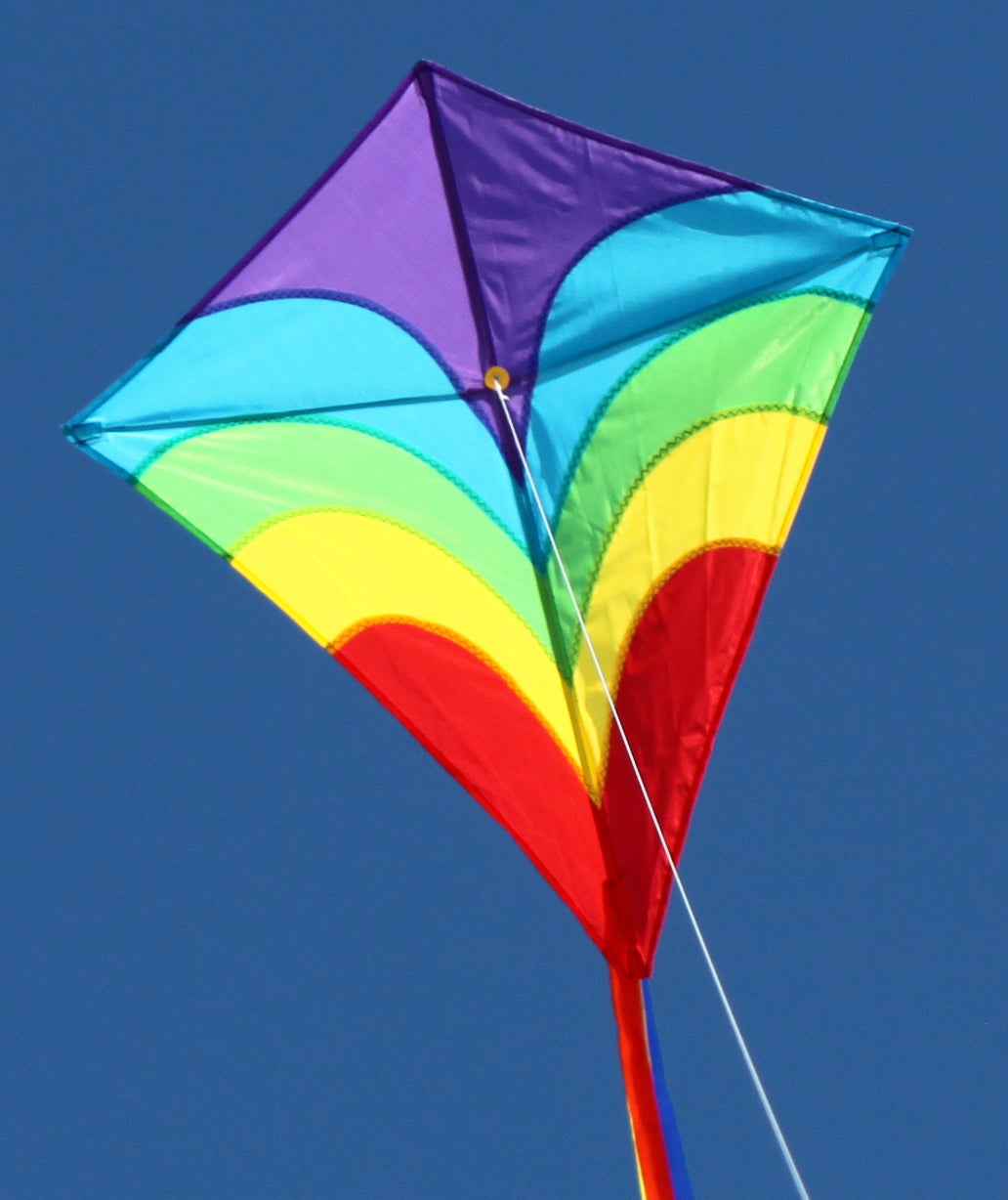 WINDSPEED Waves Diamond Single Line Kite - WS887